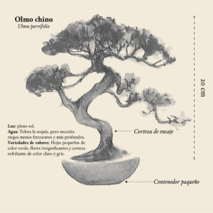 Shonin
