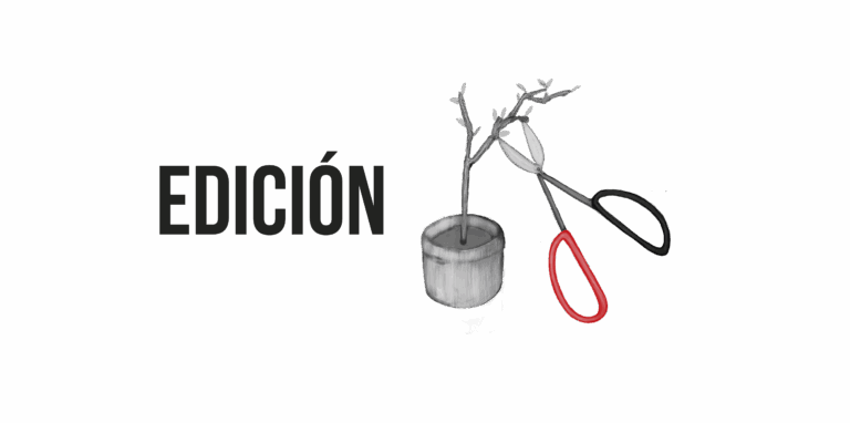 Recurso 176