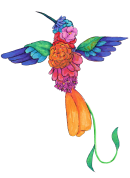 colibri